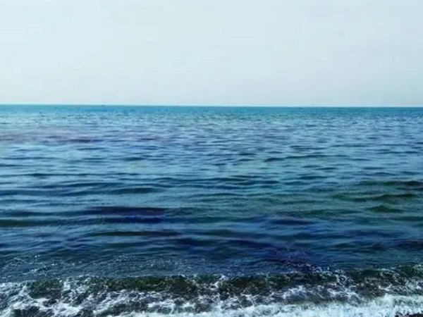日本核廢水將排海-影響何以估量？